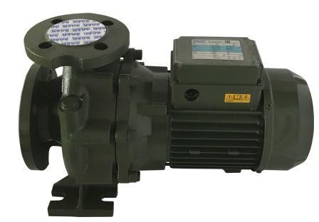 Насосный агрегат моноблочный фланцевый SAER IR 40-125A в Екатеринбурге 